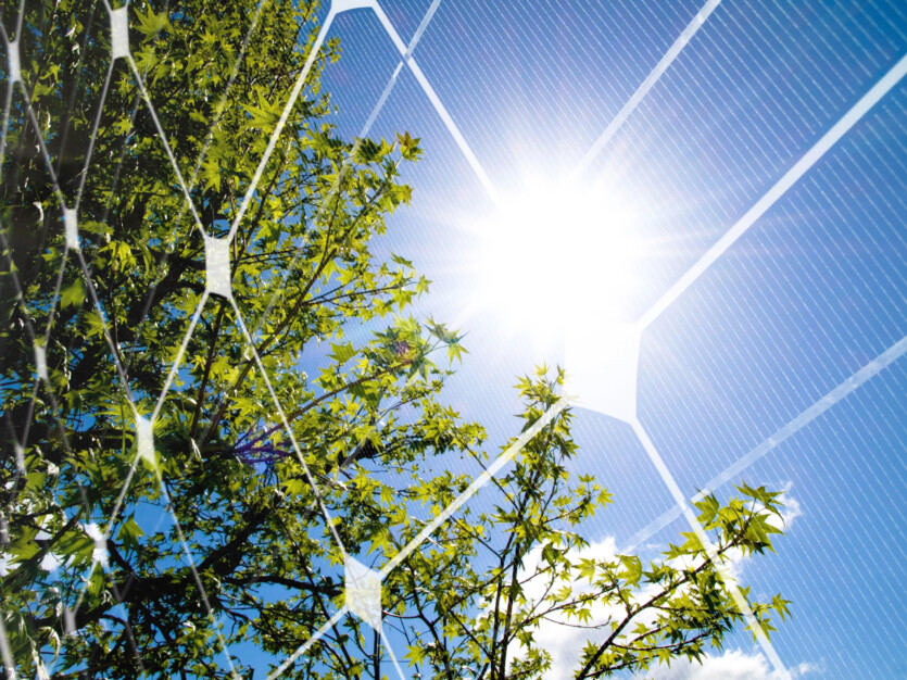 This solar cell utilizes its other side with an additional 8.44% efficiency