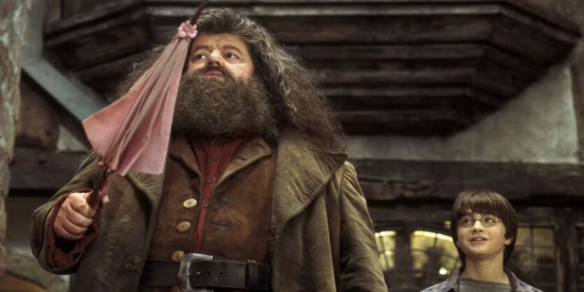The «Harry Potter» series unveiled the first shot of the new Hagrid