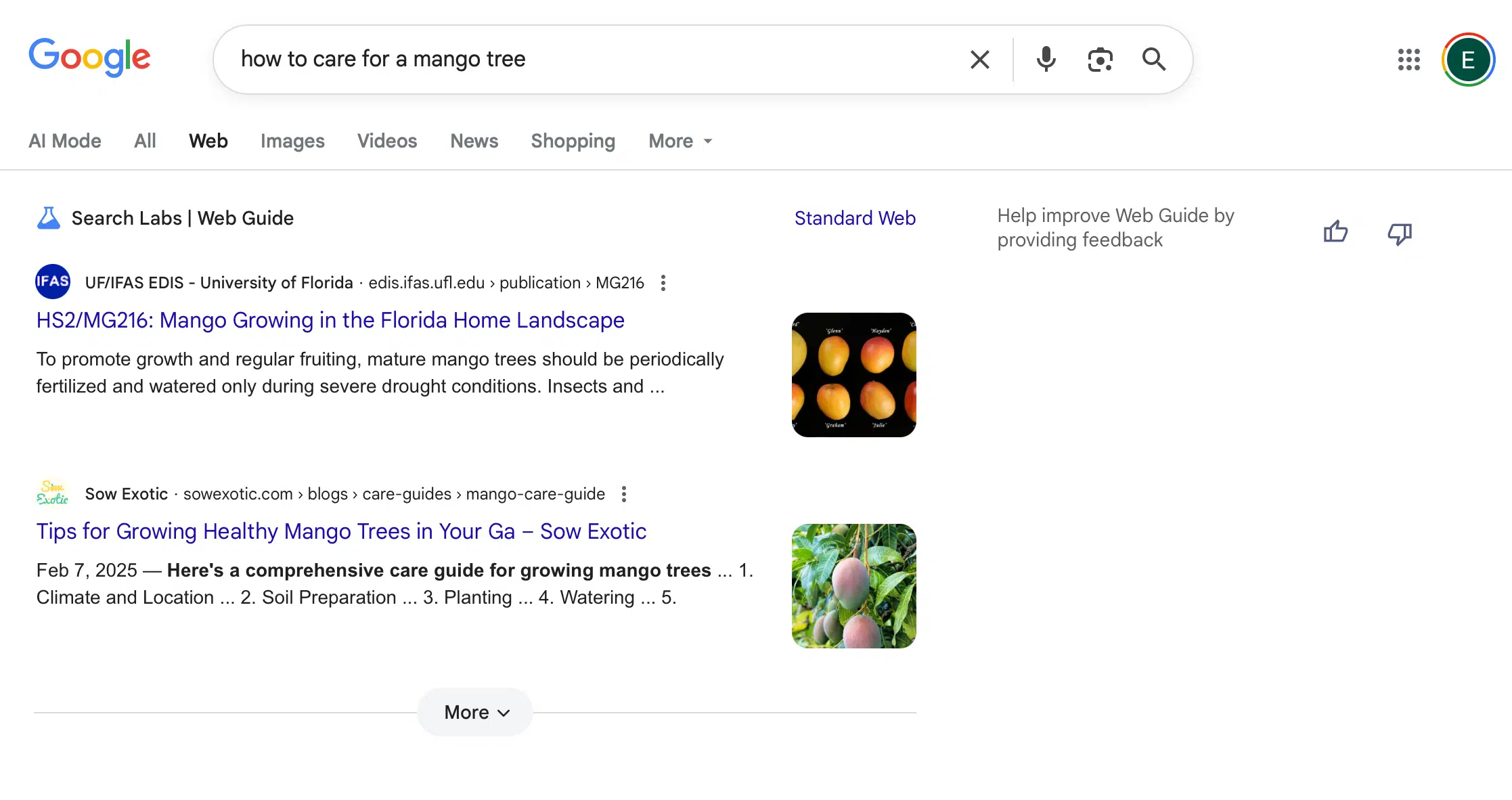 Більше ШІ у пошук: Google Web Guide «зручно групуватиме посилання»