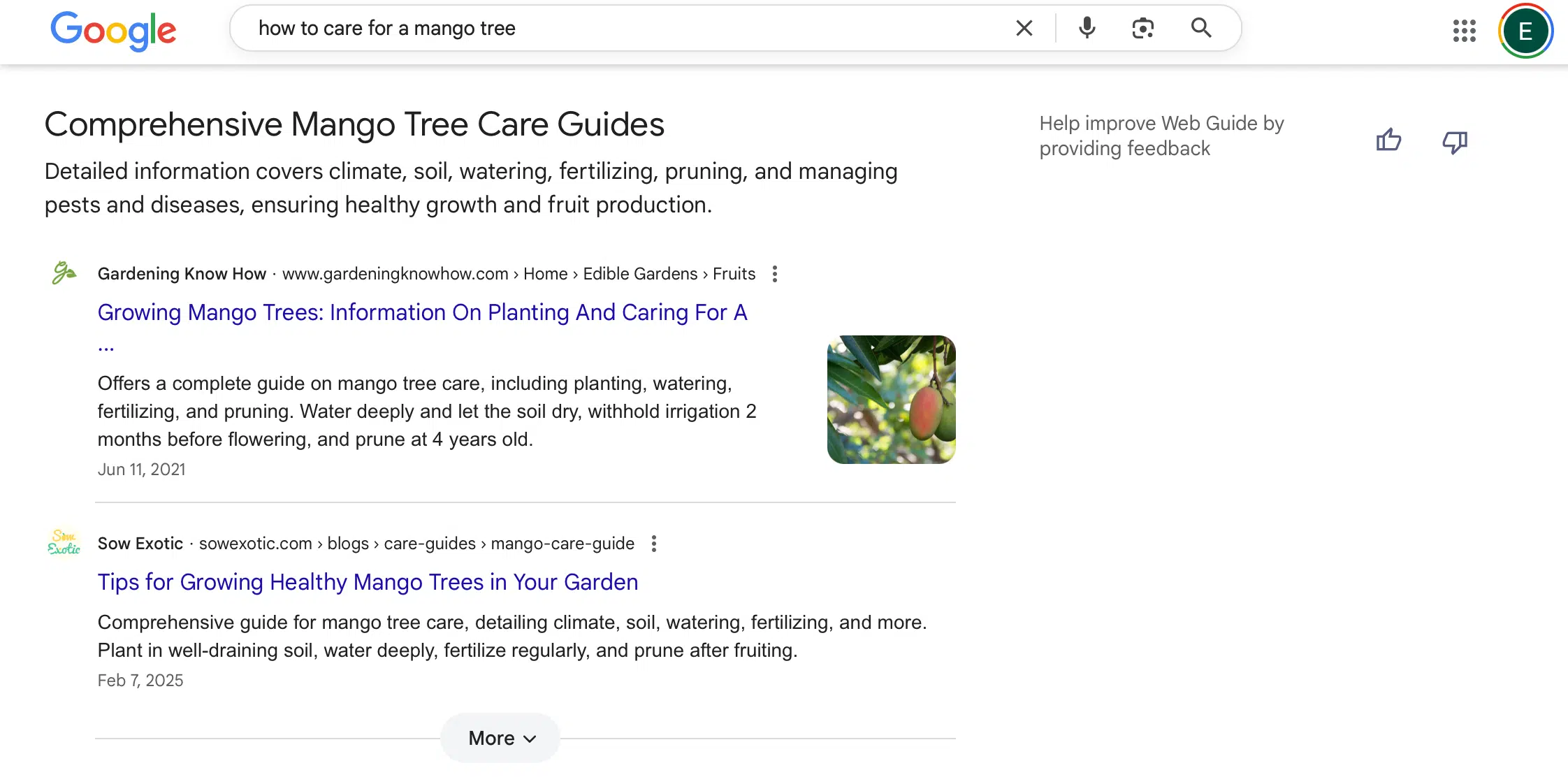 Більше ШІ у пошук: Google Web Guide «зручно групуватиме посилання»