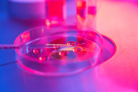 Боси Кремнієвої долини платять до $50 000 за вирощування "розумних" немовлят, — WSJ