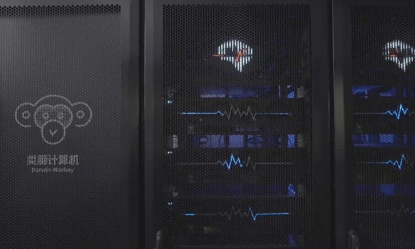 The world's largest neurocomputer simulates a monkey's brain