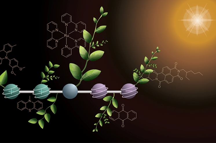 A step towards artificial photosynthesis: the generated molecule accumulates charges under the influence of light