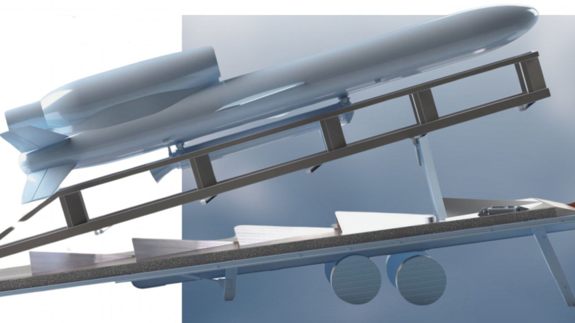 Ukrainian missile "Flamingo" goes into production: 3000 km and 1000 kg of warhead