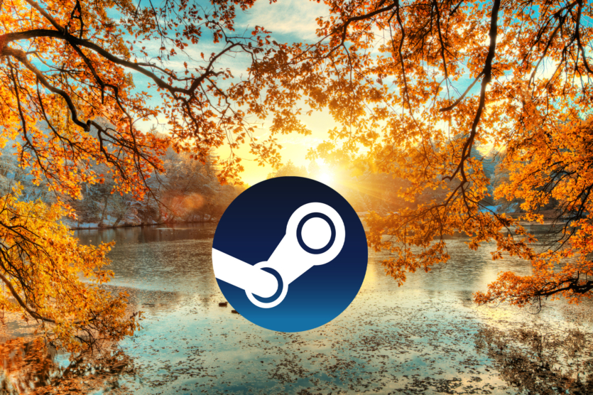 Вересень 2025 у Steam закріплює тренди: зростають Windows 11, NVIDIA та AMD, є беззаперечний лідер серед відеокарт