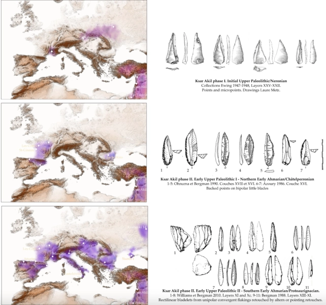 Поглинення, а не зникнення: неандертальці ніколи не вимирали, згідно з дослідженням