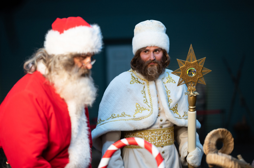 "Вартові різдва"