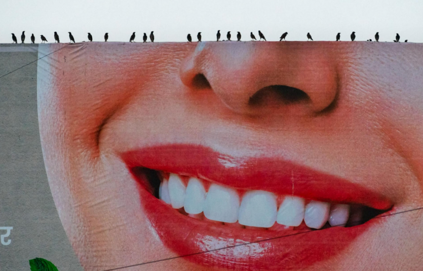 Переможці Nature inFocus: цей шимпанзе запрошує відпочити та подивитися фото тварин