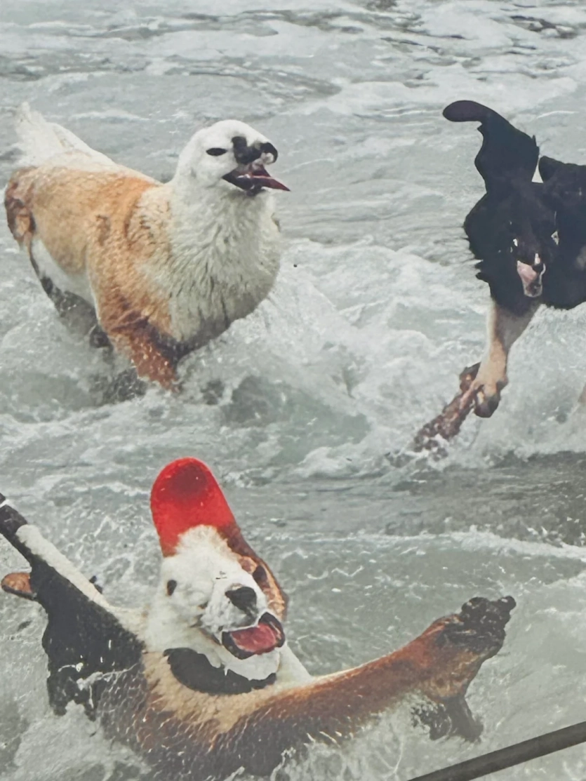 “Насправді присвячені Ктулху”: створені ШІ різдвяні мурали у передмісті Лондону жахають деталями