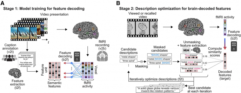 ШІ перетворює скани мозку на описи думок