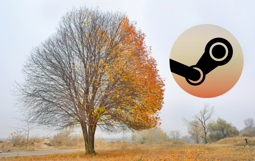 Steam у листопаді 2025: мобільна RTX 4060 знов лідер, RTX 5070 обійшла 4070, а Radeon RX 9000 досі немає в топі