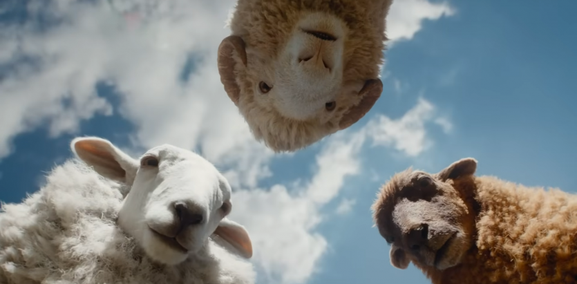 Росомаха стає пастухом: перші кадри комедії "Вівці-детективи" з Г'ю Джекманом