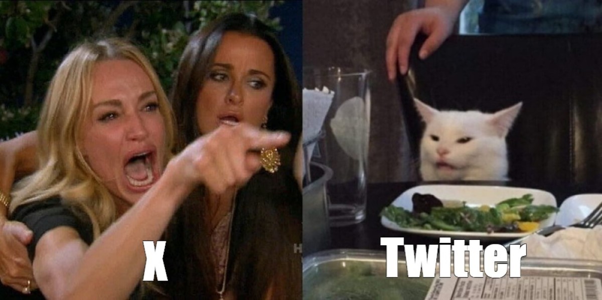 Операція "Синя пташка": стартап відроджує "вбитий" Ілоном Маском Twitter у новій соцмережі