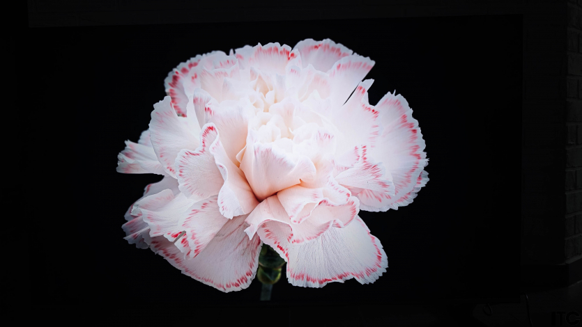 Xiaomi TV S Pro Mini LED 55 (2026)