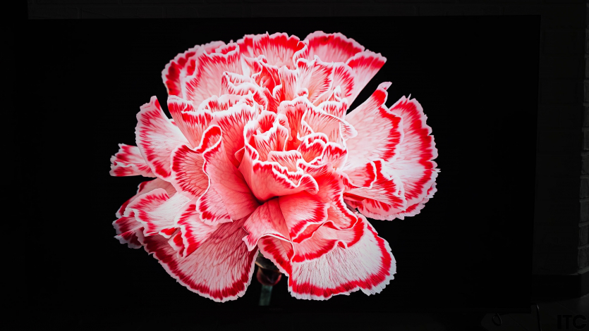 Xiaomi TV S Pro Mini LED 55 (2026)