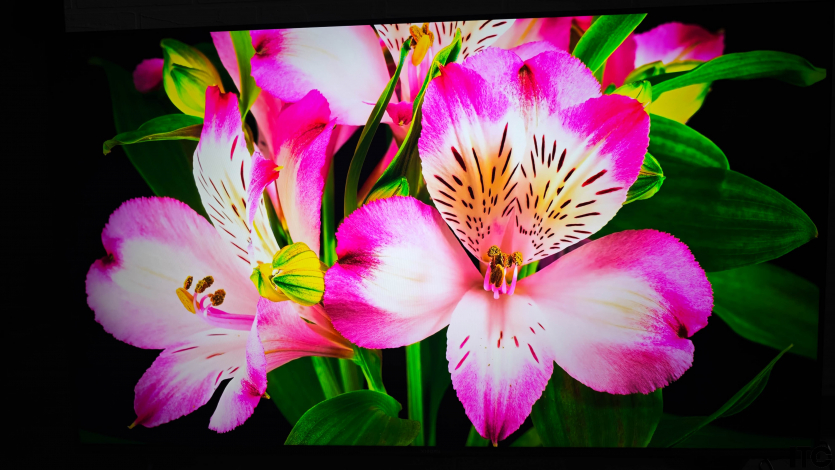 Xiaomi TV S Pro Mini LED 55 (2026)