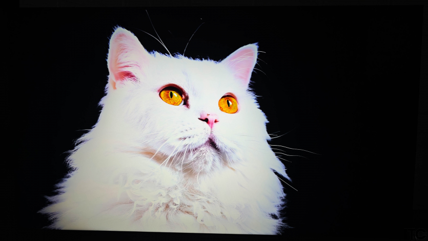 Xiaomi TV S Pro Mini LED 55 (2026)