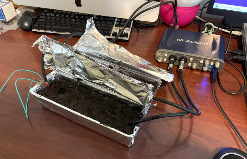 Аудіофіли провалили "сліпий" тест на чистоту звуку: його подавали через кабель, землю та банан