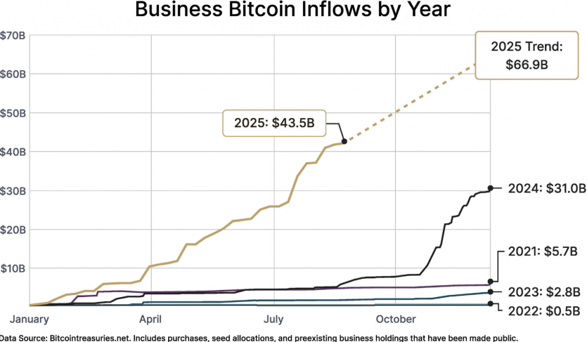 З 2025 року власники біткоїну почали змінюватися: приватних дедалі менше, інституцій — більше