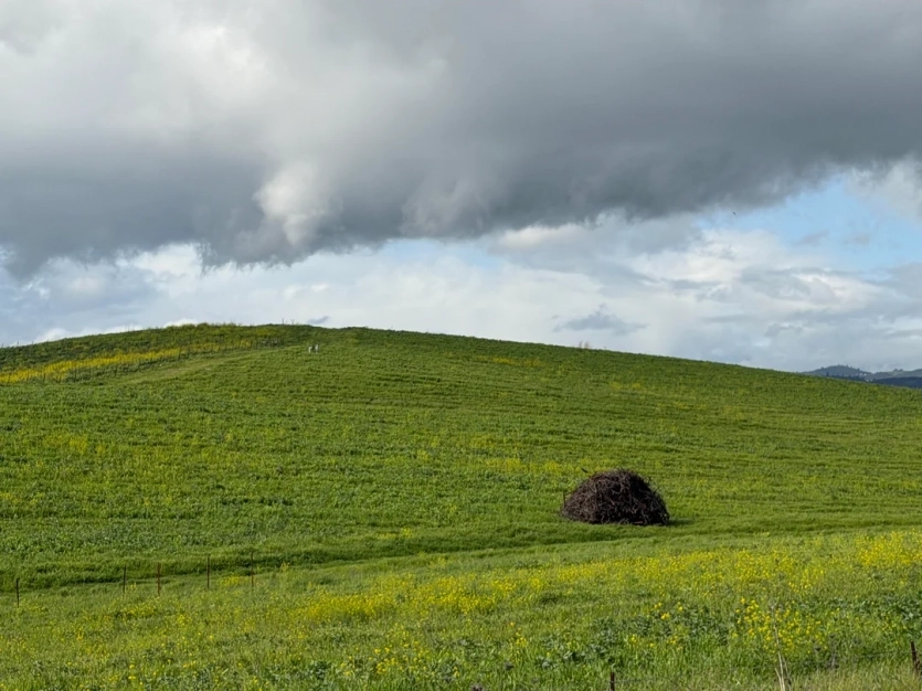 Фотограф "зловив" культову заставку Windows XP 1996 року в реальності