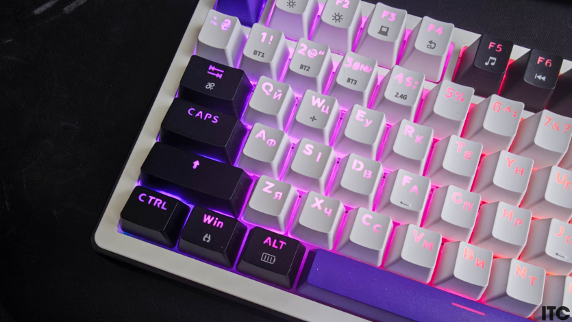 HATOR Hellyberry HK75