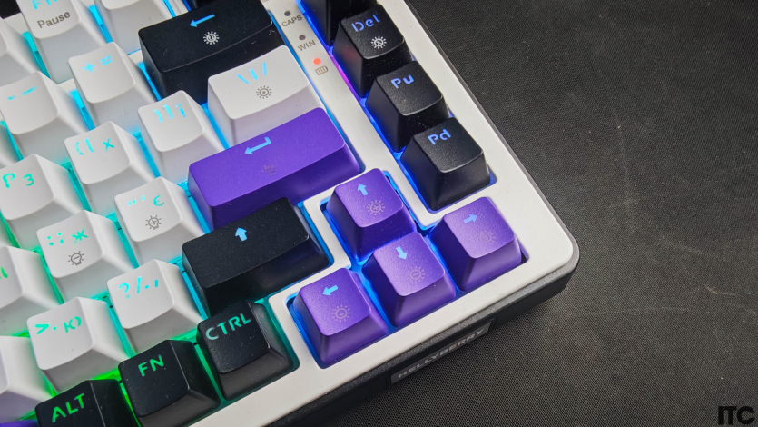 HATOR Hellyberry HK75