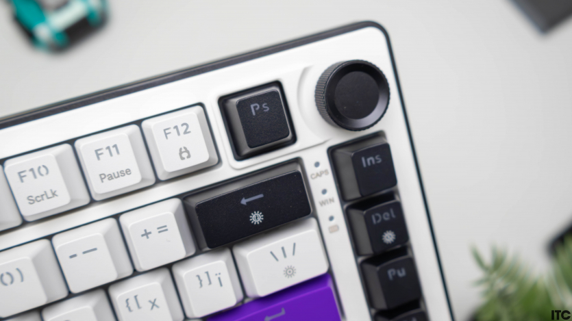 HATOR Hellyberry HK75