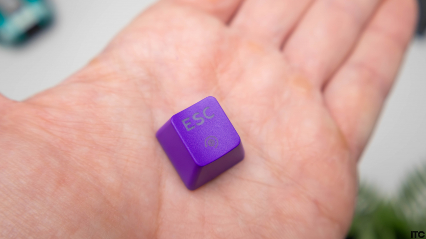 HATOR Hellyberry HK75