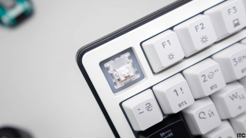 HATOR Hellyberry HK75