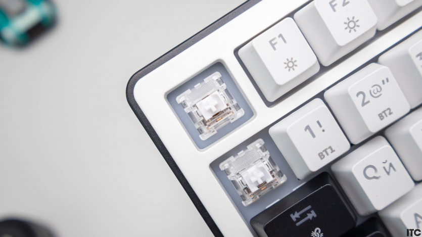 HATOR Hellyberry HK75