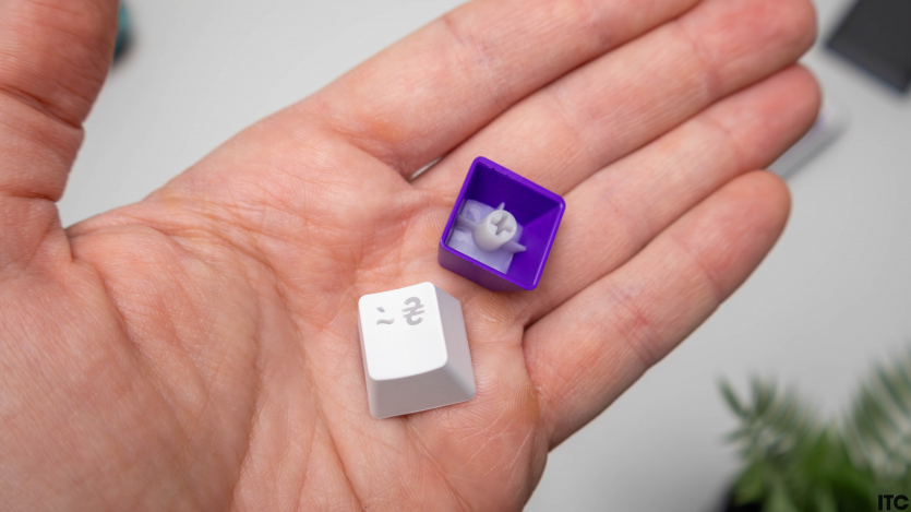 HATOR Hellyberry HK75