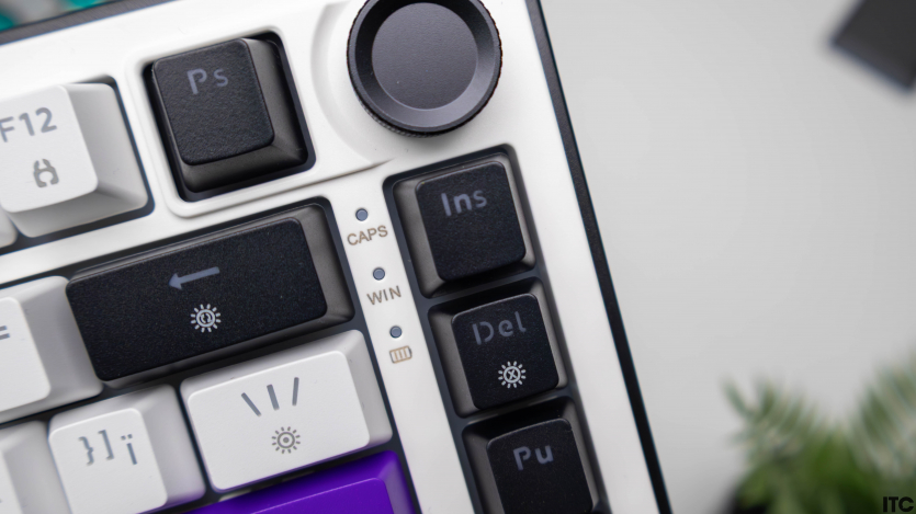 HATOR Hellyberry HK75