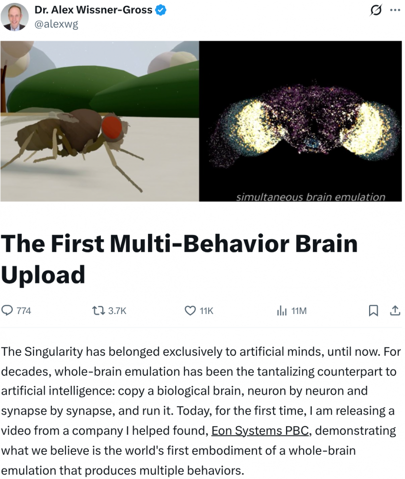 ШІ навпаки: дослідники вперше завантажили "живий" мозок мухи в Матрицю і дозволили йому керувати віртуальним тілом