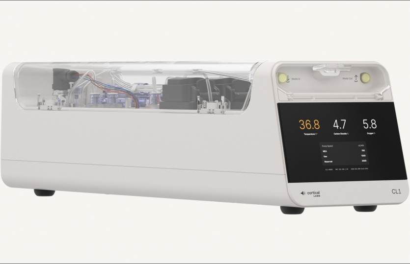 Стартап Cortical Labs будує перший дата-центр із людських клітин мозку