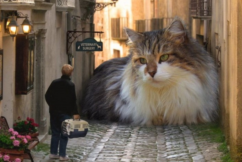 В аэропорту Гонконга оживили мем: гигантский интерактивный "Кэтзилла" спит прямо в зале прилетов