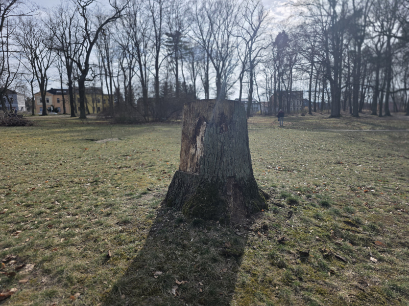 Ігровий смартфон Vivo за $800 за якістю фото перевершив iPhone 17 та Samsung Galaxy S25 Ultra