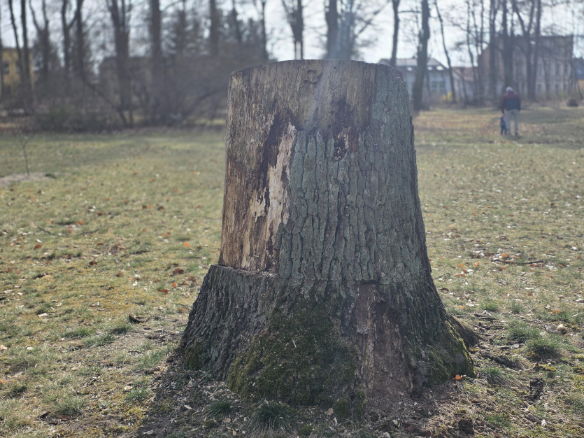 Ігровий смартфон Vivo за $800 за якістю фото перевершив iPhone 17 та Samsung Galaxy S25 Ultra