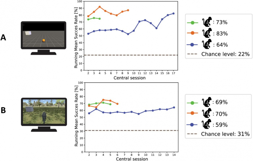 Мавпи теж можуть: вчені вперше примусили макак пересуватись у повноцінному 3D-віртуальному світі силою думки
