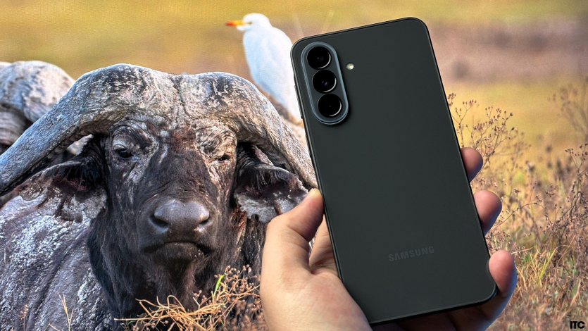 Огляд Samsung Galaxy A37: знайомий зовні, несподіваний у користуванні