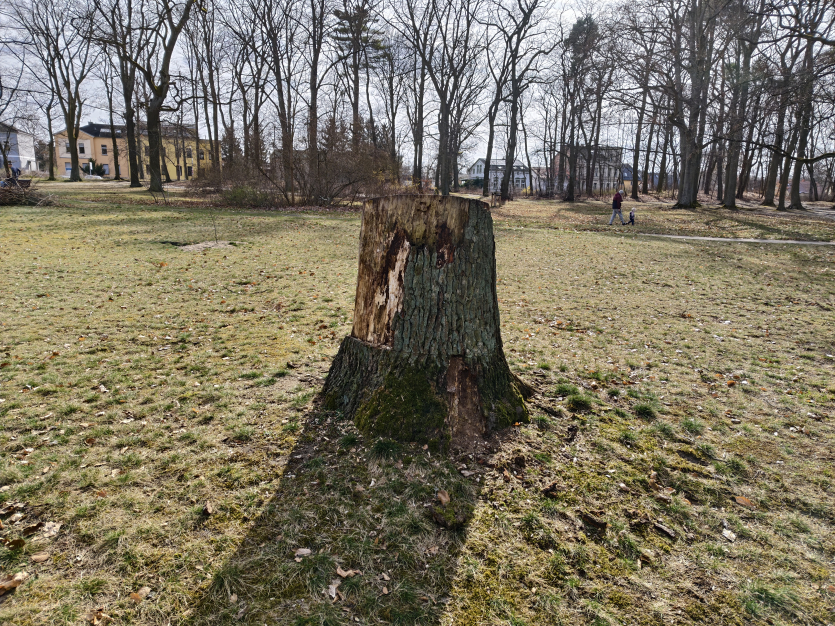 Ігровий смартфон Vivo за $800 за якістю фото перевершив iPhone 17 та Samsung Galaxy S25 Ultra