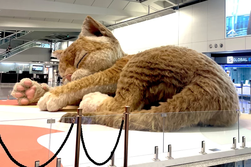 В аэропорту Гонконга оживили мем: гигантский интерактивный 