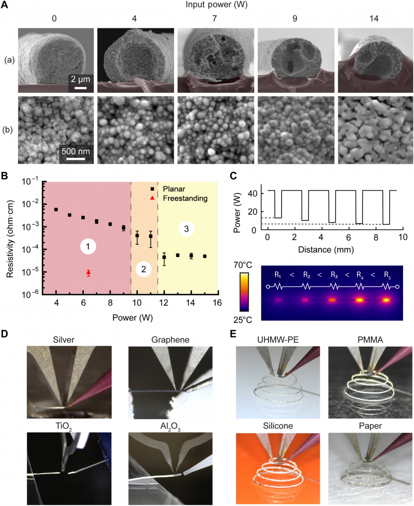 Їстівна електроніка? Чому б ні: вчені навчили 3D-принтер друкувати на кістках та листі рослин