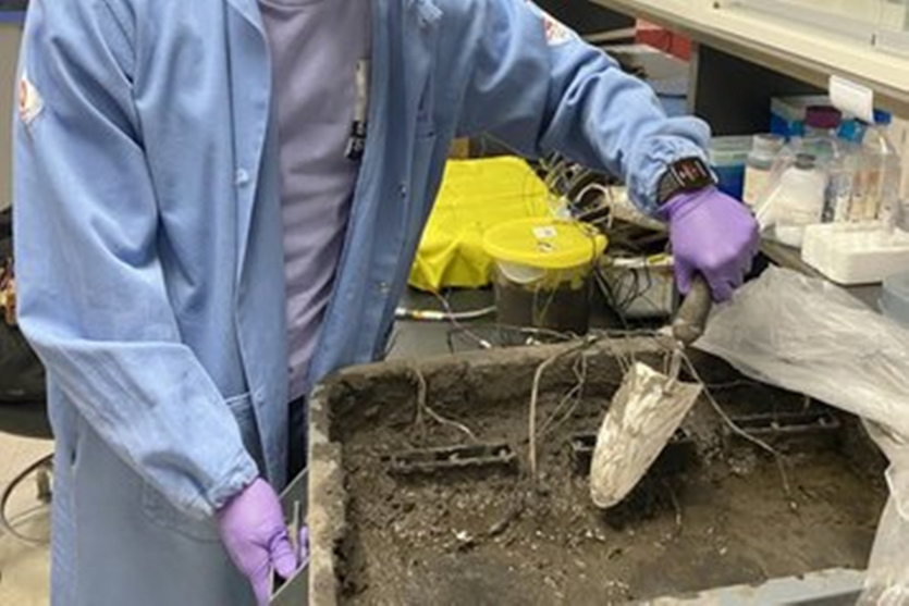 Вчені створили новий паливний елемент із грунтових мікробів