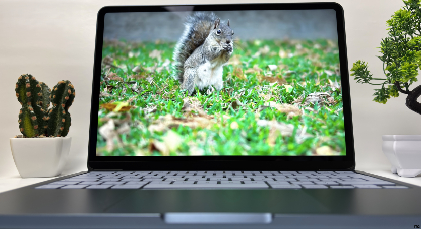Apple MacBook Neo