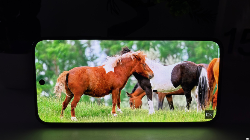 OPPO Reno15 FS